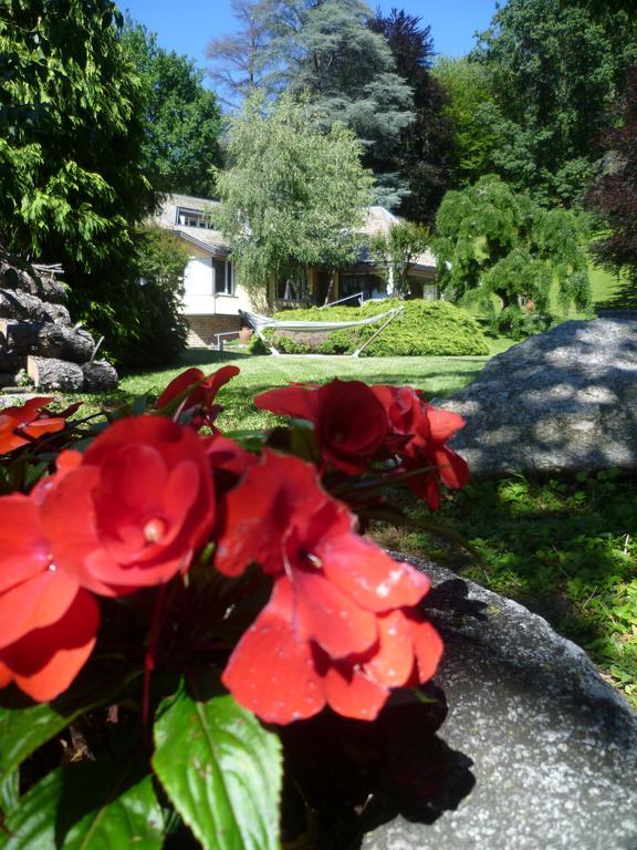 Il Colombe B&B Barzanò Zewnętrze zdjęcie