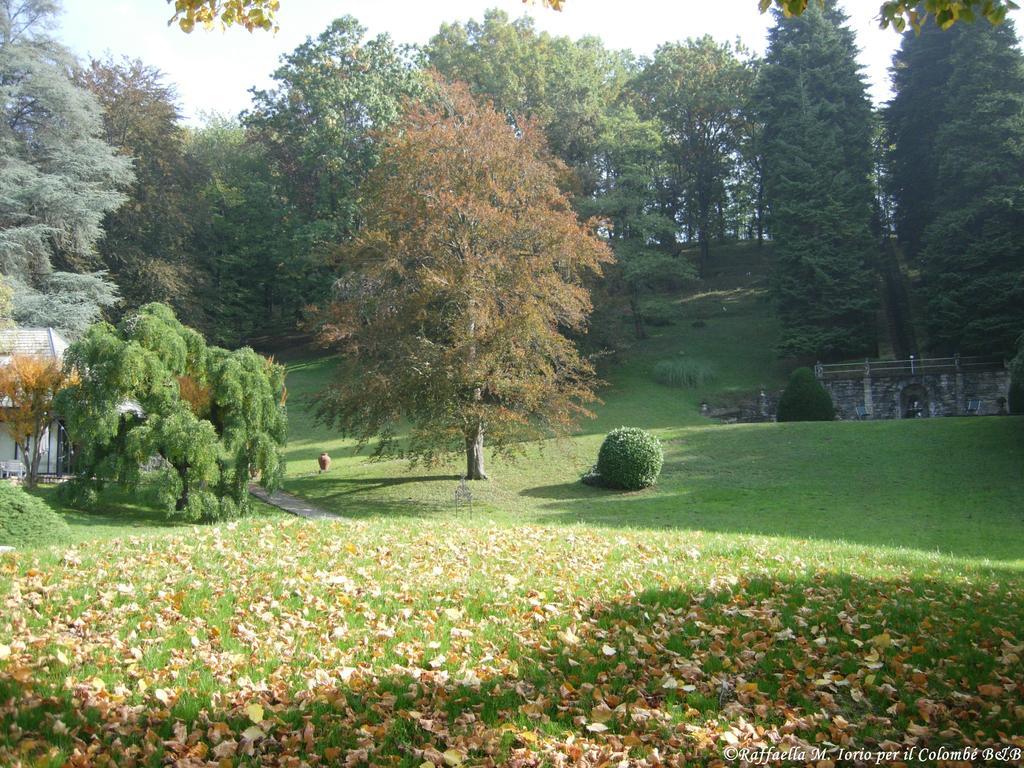 Il Colombe B&B Barzanò Zewnętrze zdjęcie